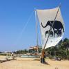 30 Boote am Strand in Negombo