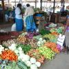 13-der-Markt-von-Jaffna